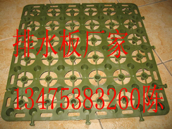 濟南排水板廠家解析 蓄排水板價格與建筑建材應用