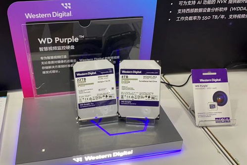 西部數(shù)據(jù)亮相2023物聯(lián)網(wǎng)產(chǎn)業(yè)大會(huì) 以專業(yè)存儲(chǔ)與數(shù)據(jù)處理方案，賦能萬(wàn)物智聯(lián)新時(shí)代